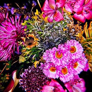 Meet your Posher, Peyton